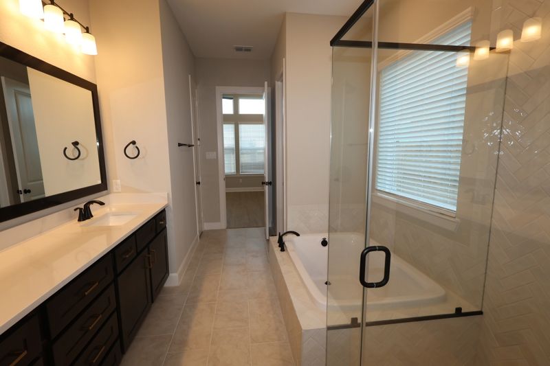 Owner's Bath