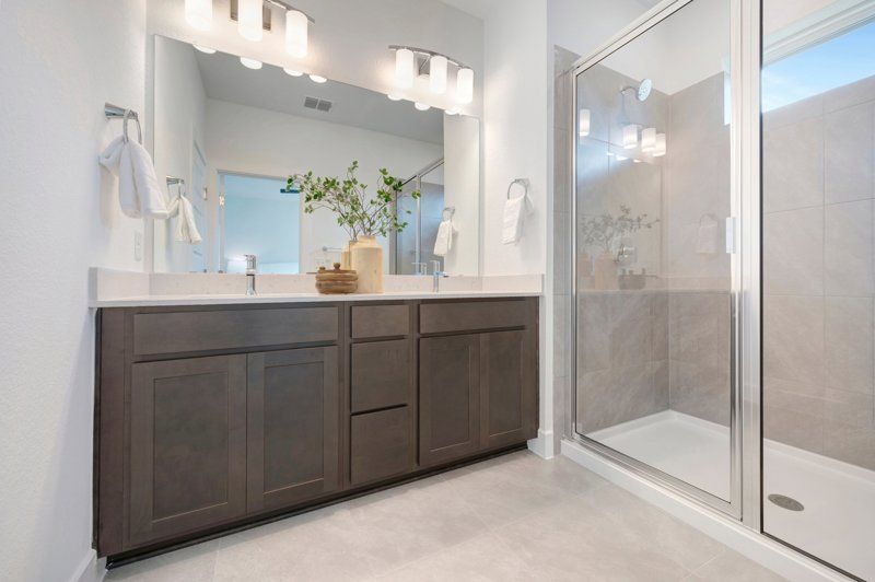 Owner's Bath