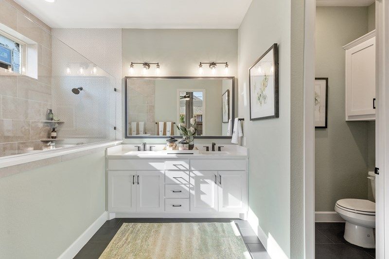 Owner's Bath