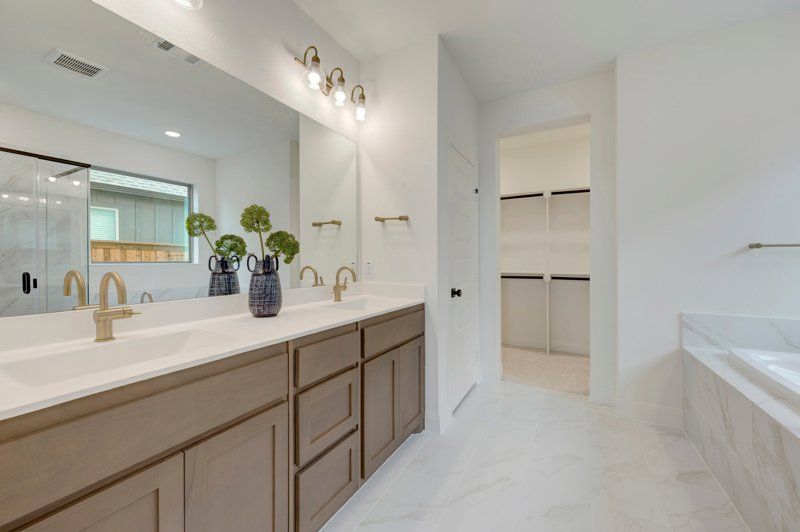 Owner's Bath