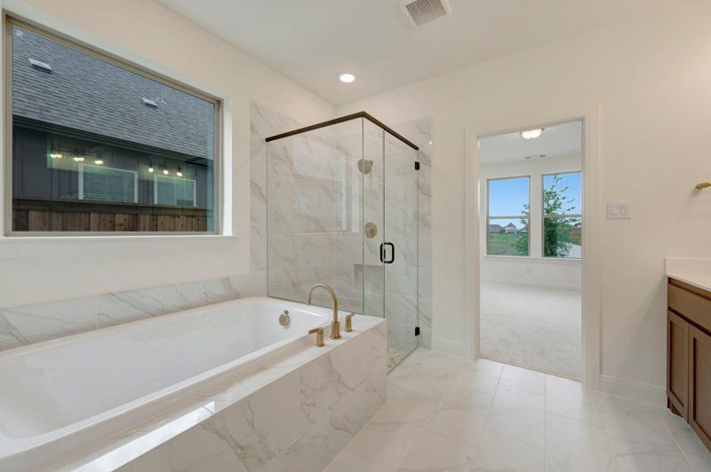 Owner's Bath