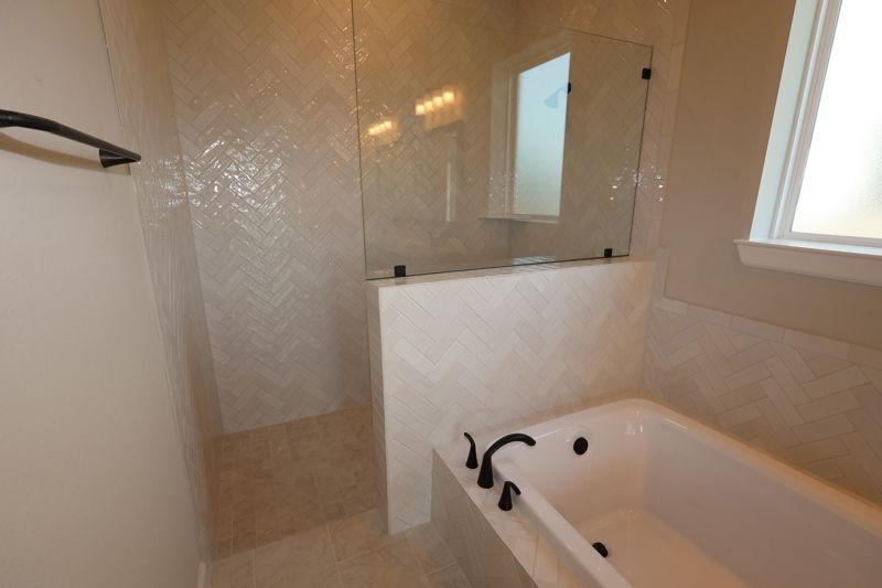 Owner's Bath