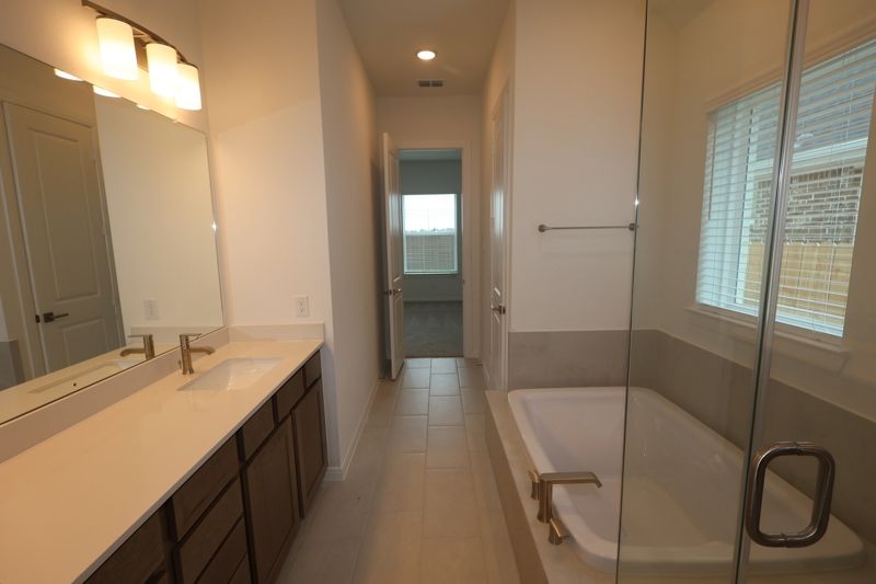 Owner's Bath