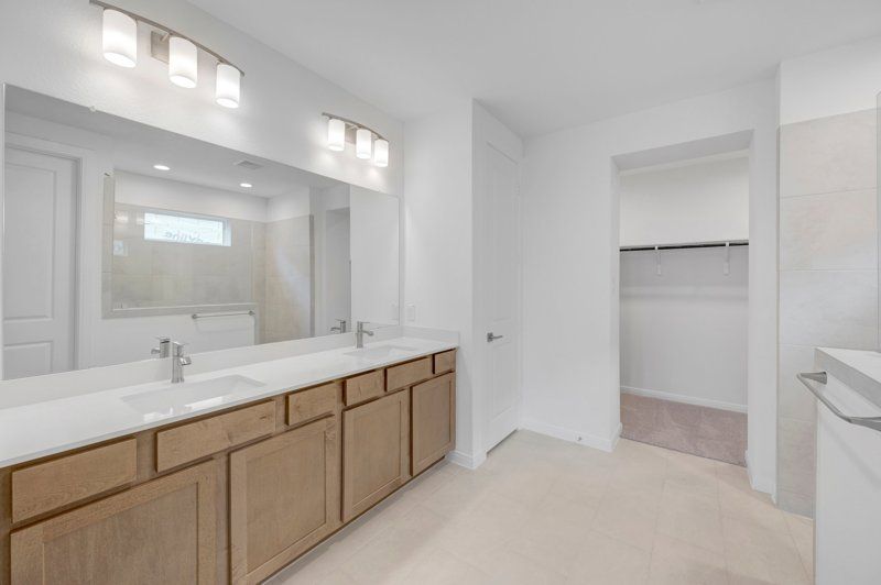 Owner's Bath