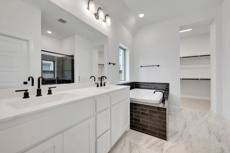 Owner's Bath