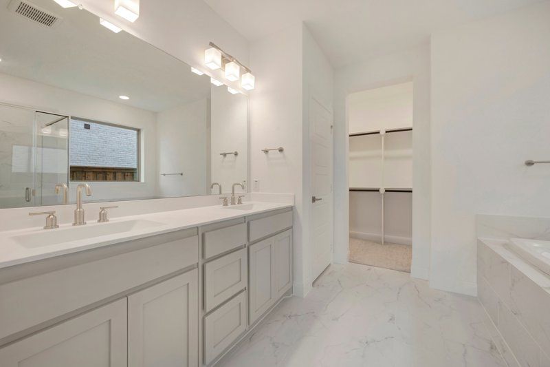 Owner's Bath