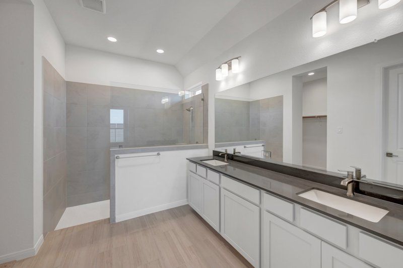 Owner's Bath