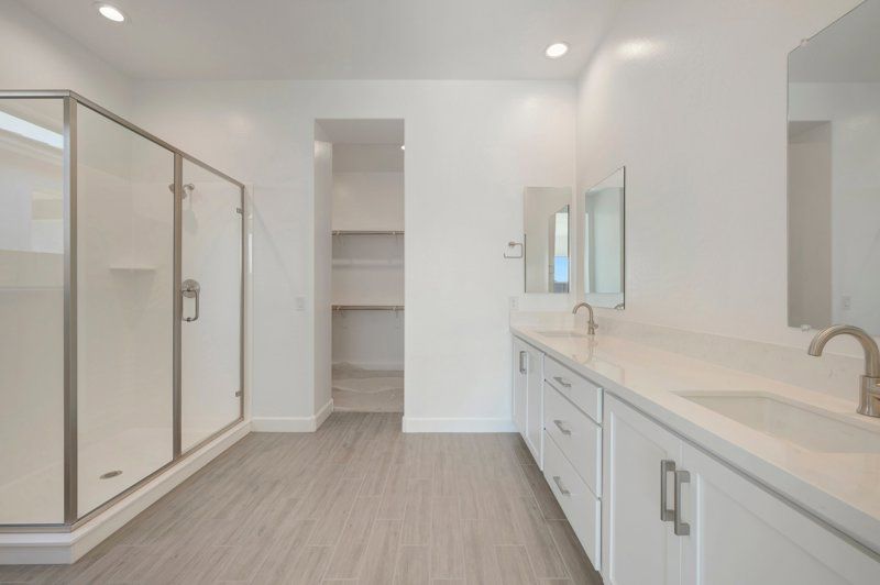 Owner's Bath