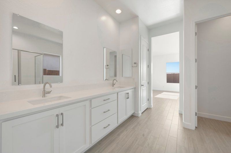 Owner's Bath
