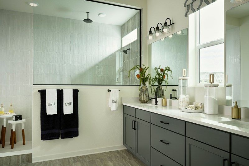 The Coralberry II - Owner's Bath