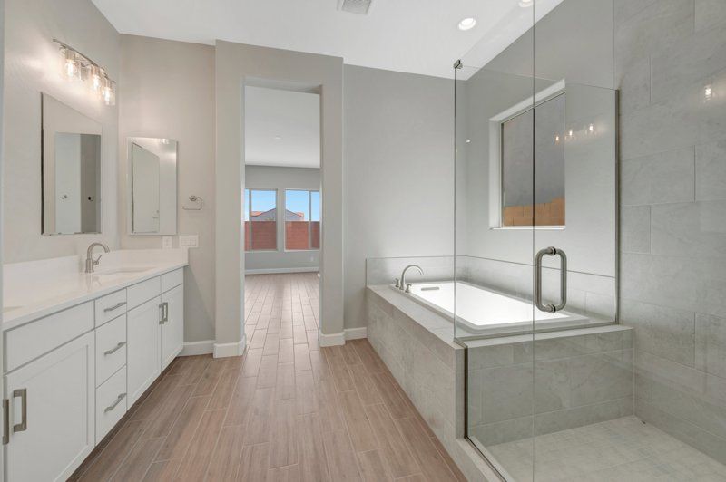 Owner's Bath