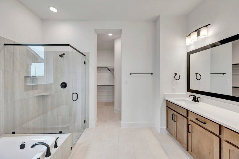 Owner's Bath