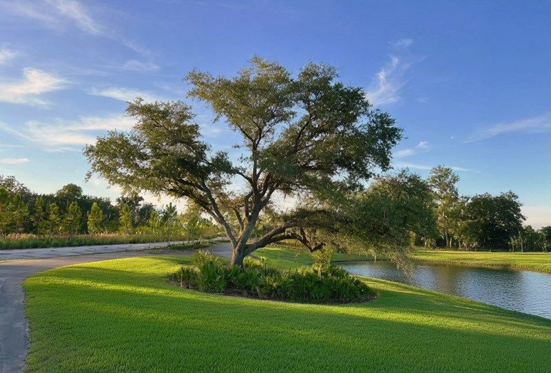 Encore at Rye Ranch - Heritage Trail