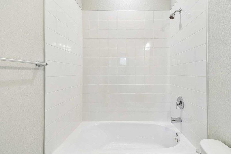 The Shelmer - Bath