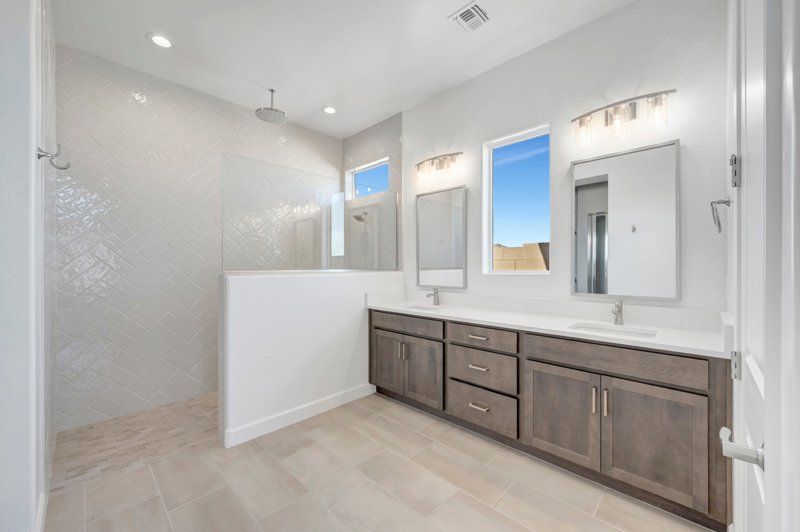 Owner's Bath