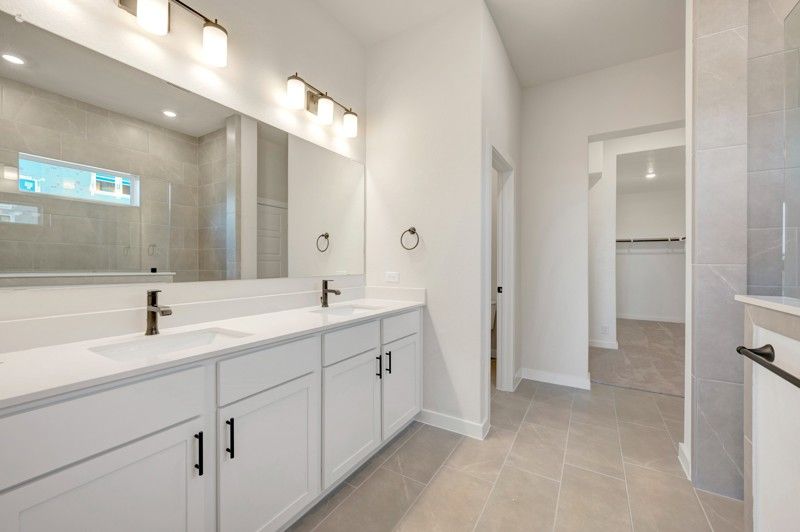 Owner's Bath