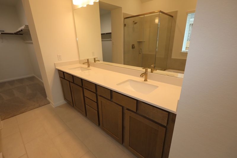 Owner's Bath