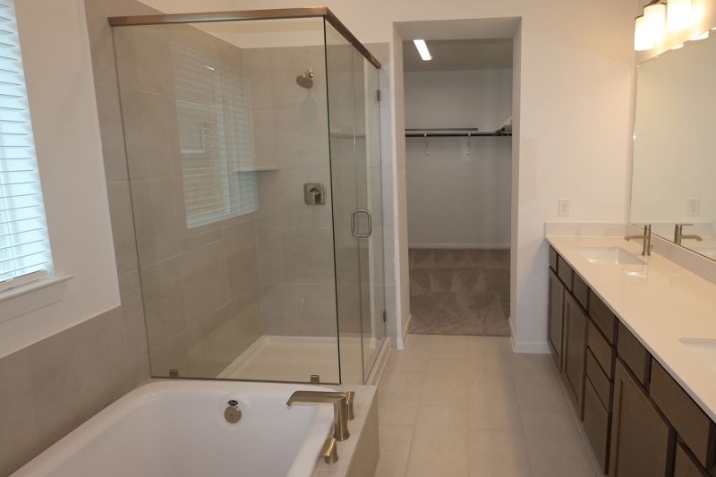 Owner's Bath