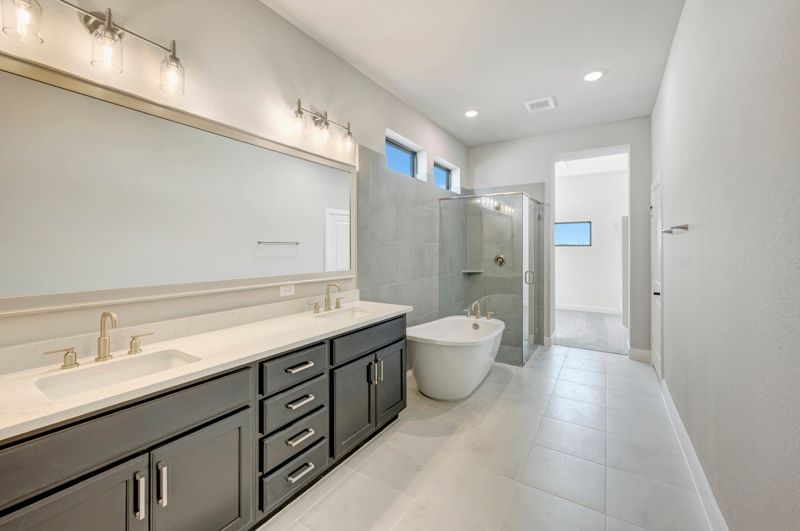 Owner's Bath