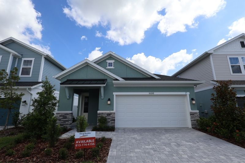 31232 Pendleton Landing Circle (Fordham)