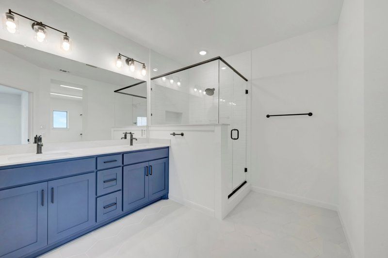 Owner's Bath