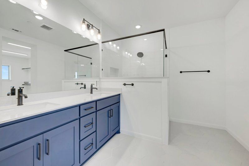Owner's Bath