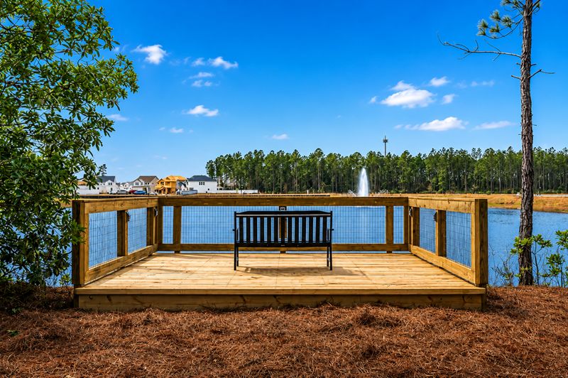 Evergreen Island at Silverleaf