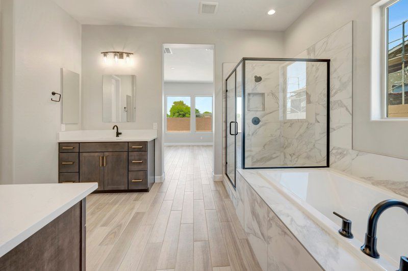 Owner's Bath