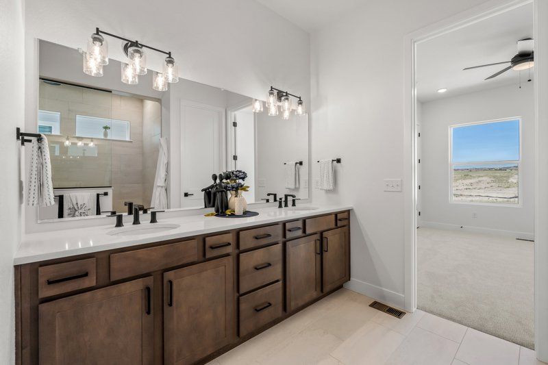 Owner's Bath