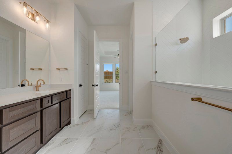 Owner's Bath