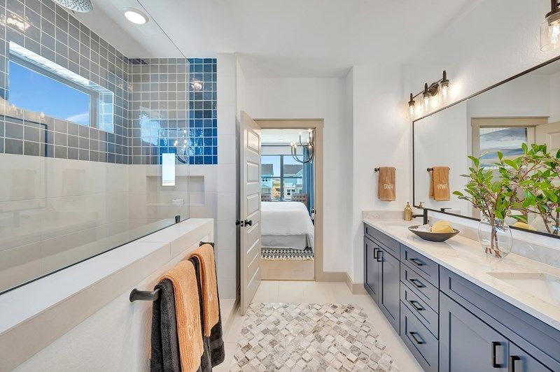 The Gunderson - Owner's Bath