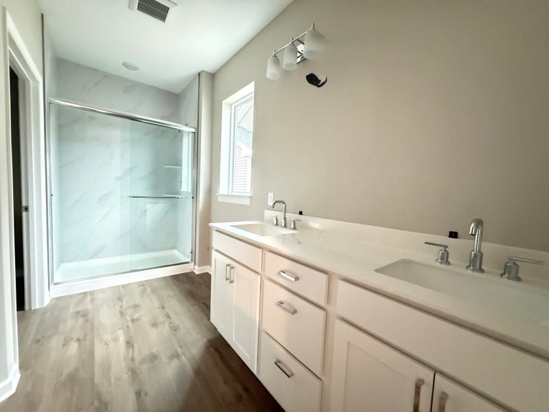 Owner's Bath