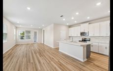 Palmeras at Crossprairie - The Magnolia Collection: Saint Cloud, Florida - David Weekley Homes