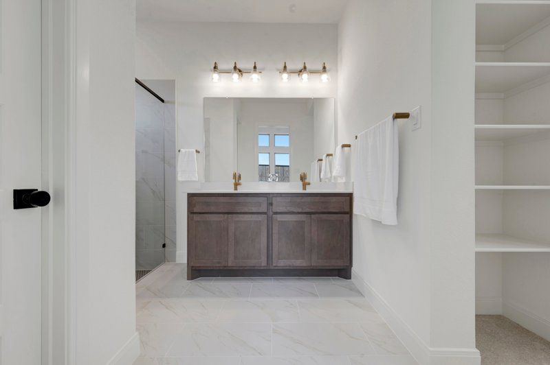 Owner's Bath