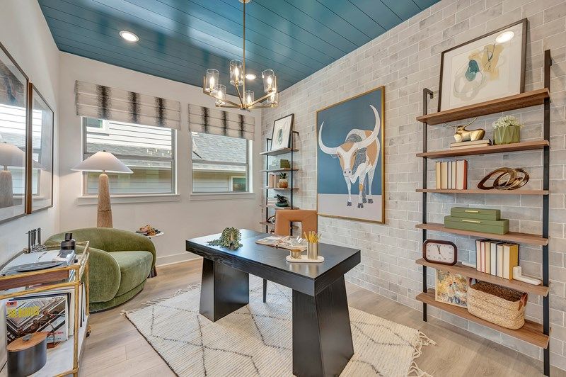 The Conroe - Study
