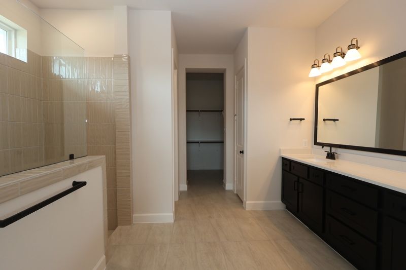 Owner's Bath
