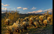 Copper Ridge at Saddleback: Peoria, Arizona - David Weekley Homes