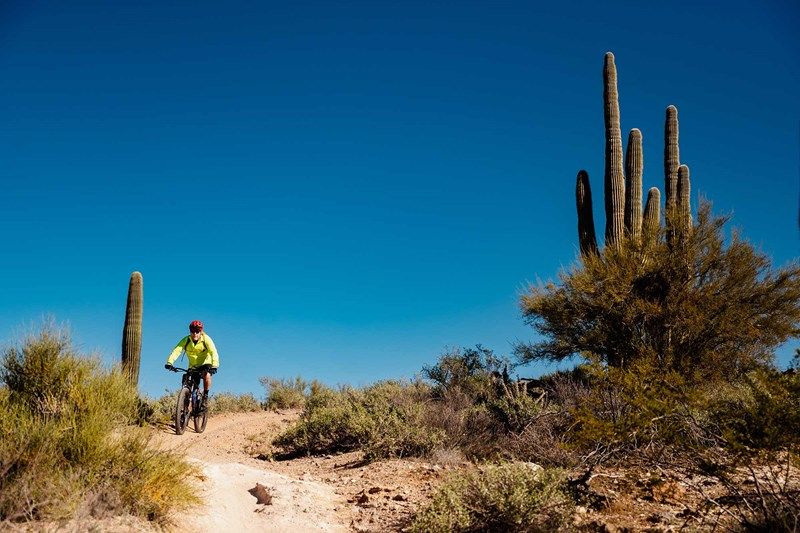 Trailmark at Saddleback - Peoria, AZ