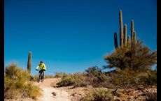 Trailmark at Saddleback: Peoria, Arizona - David Weekley Homes