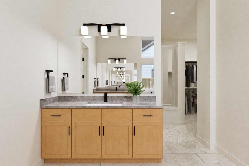 The Baltimore - Owner's Bath