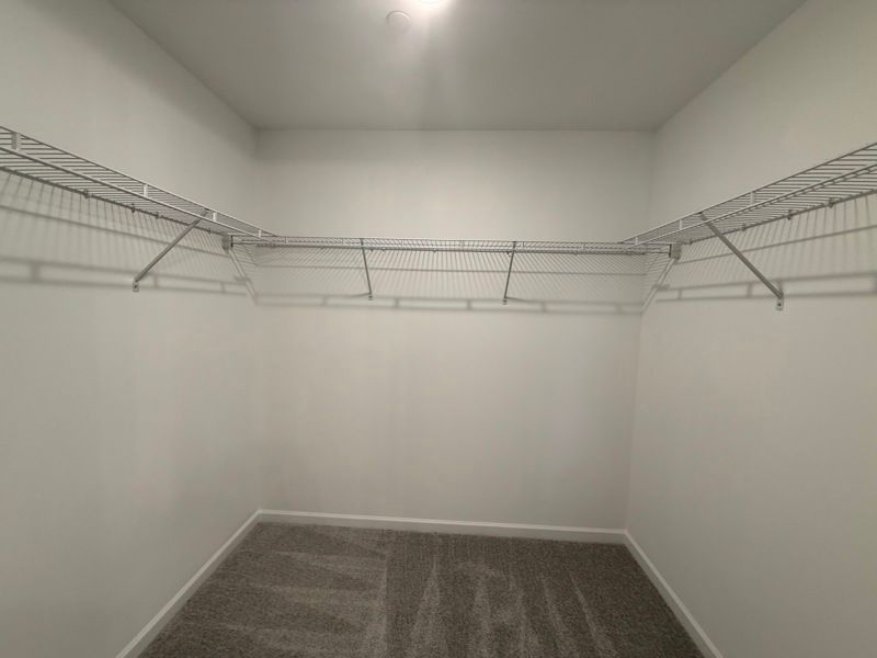Owner's Bath