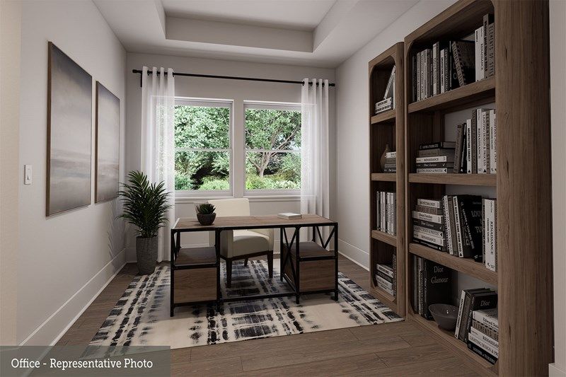 The Levi - Study