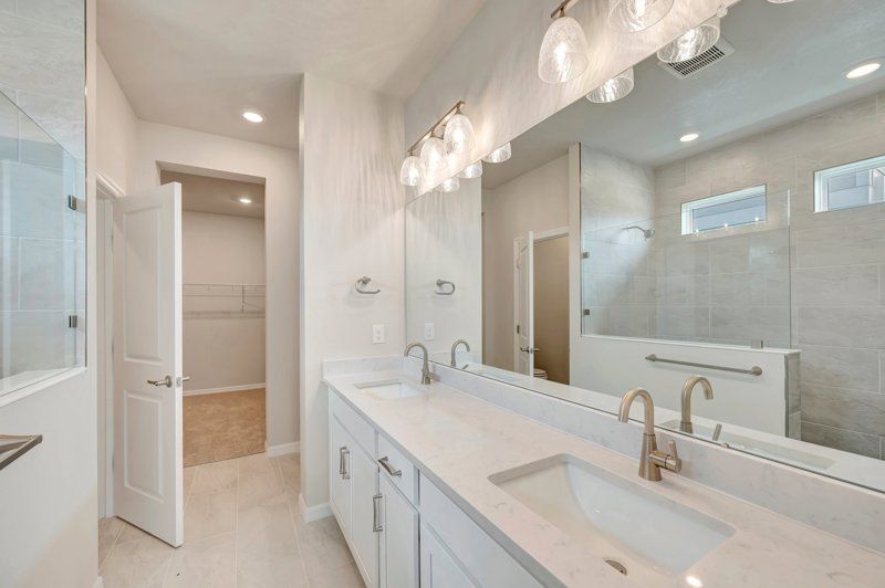 Owner's Bath
