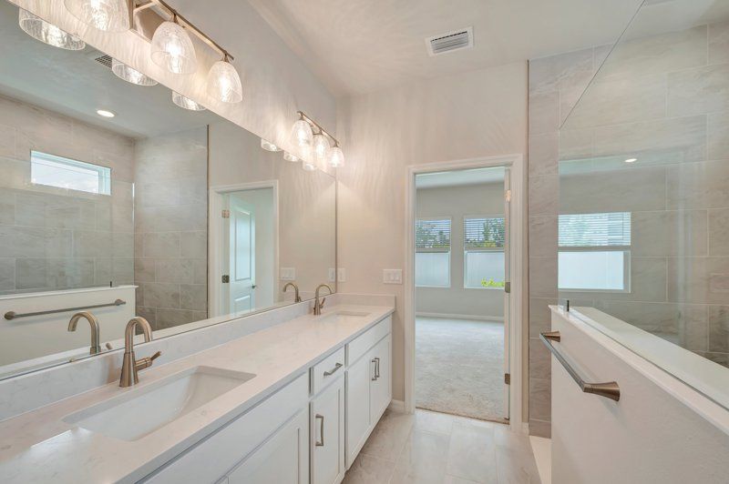 Owner's Bath