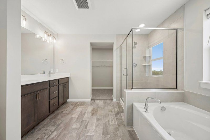 Owner's Bath