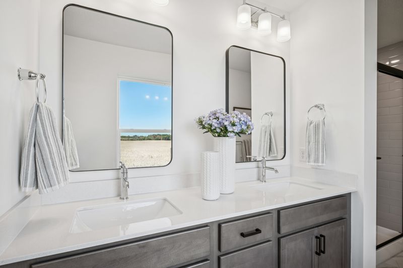 Owner's Bath