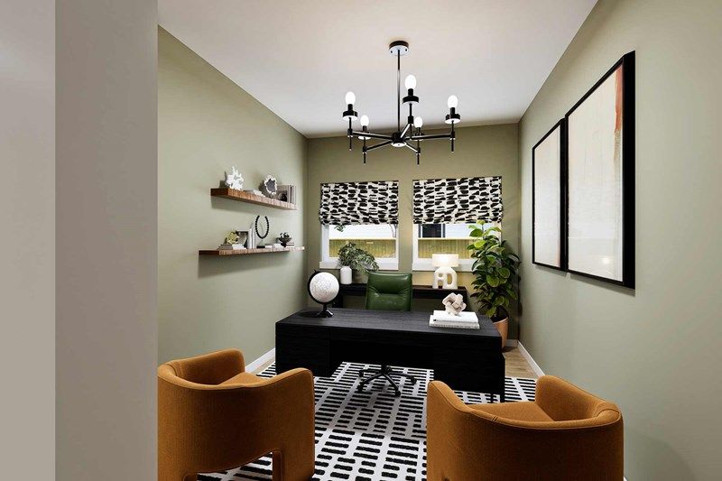 The Conroe - Study