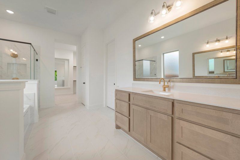 Owner's Bath