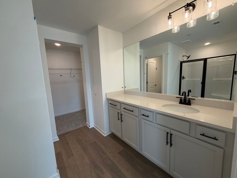 Owner's Bath