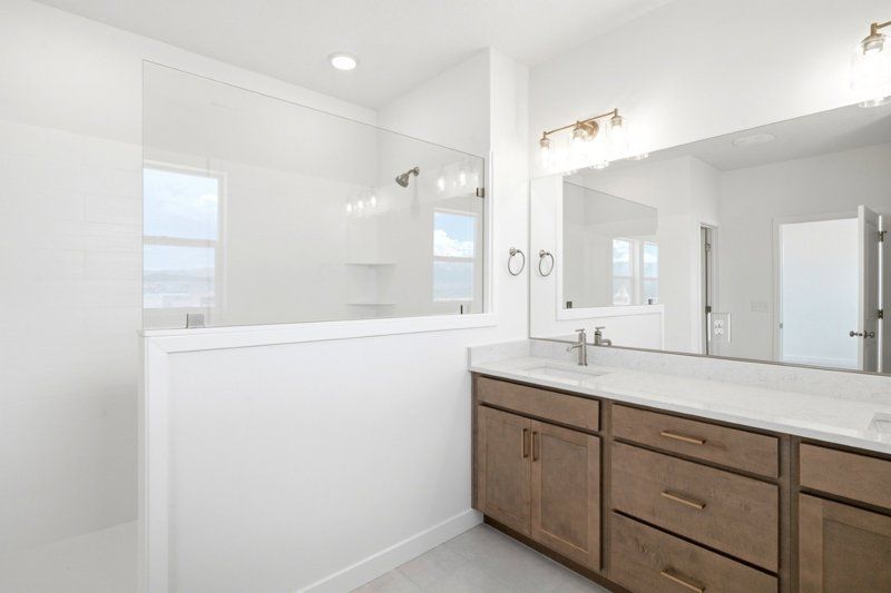 Owner's Bath